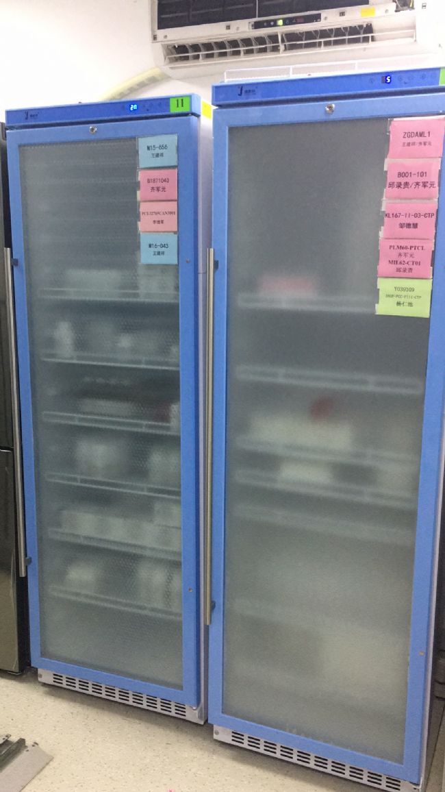 带锁的2~8度风冷冷藏柜