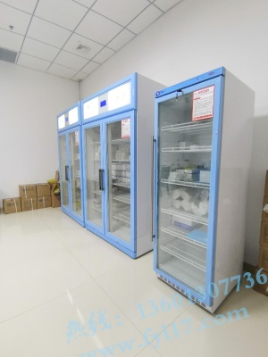 双开门的恒温柜